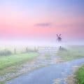 misty morning scene with windmill in background