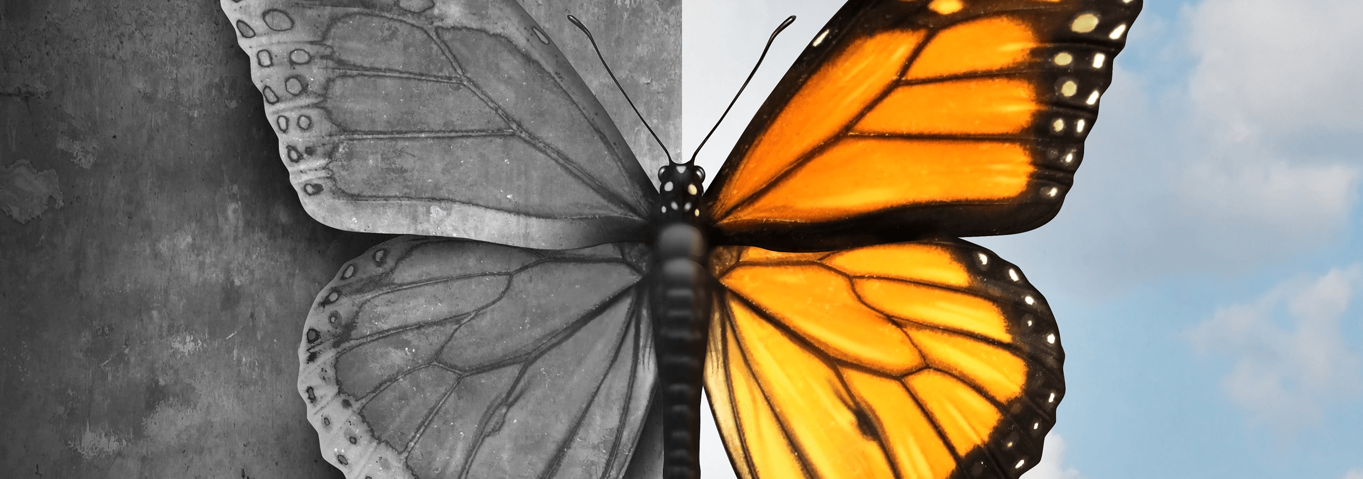 Radically Picture How to Experience Radical Change – and LOVE IT!