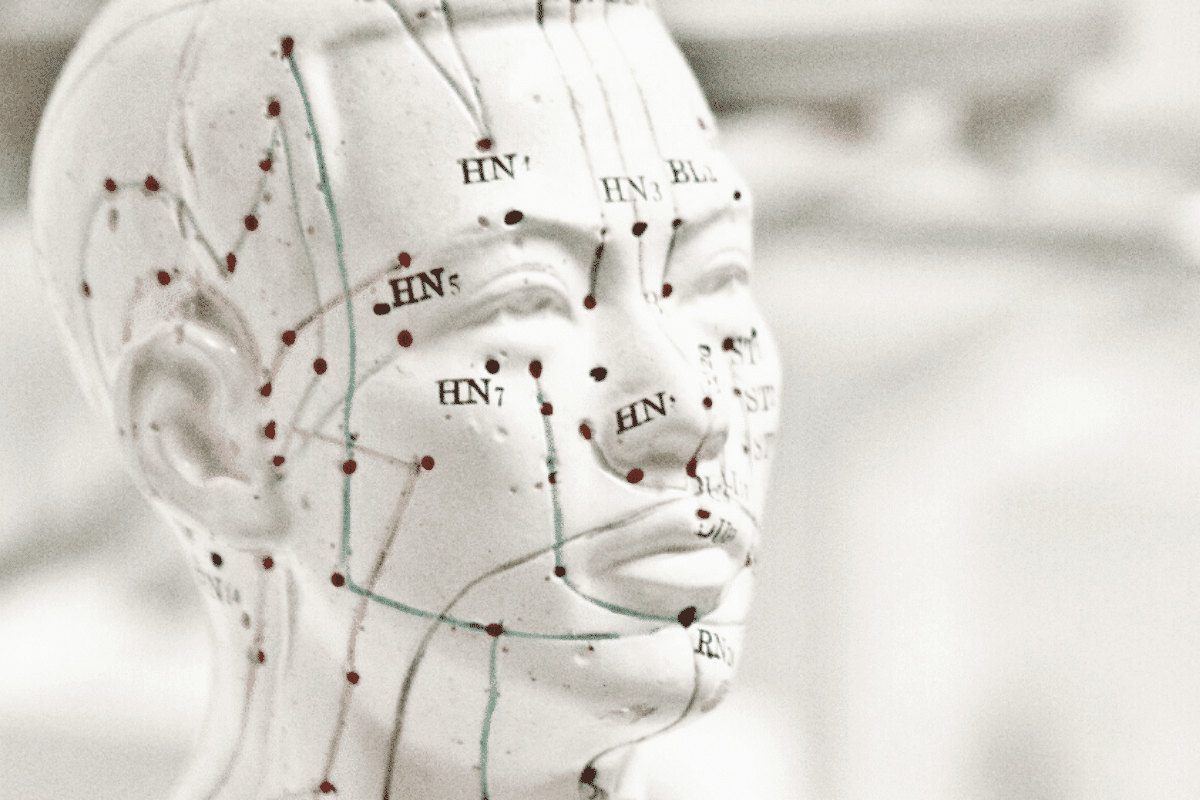 Mannequin with traditional Chinese medicine meridians drawn on it, showing EFT Tapping points